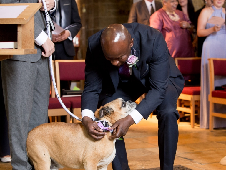 dog ring bearer at a wedding
